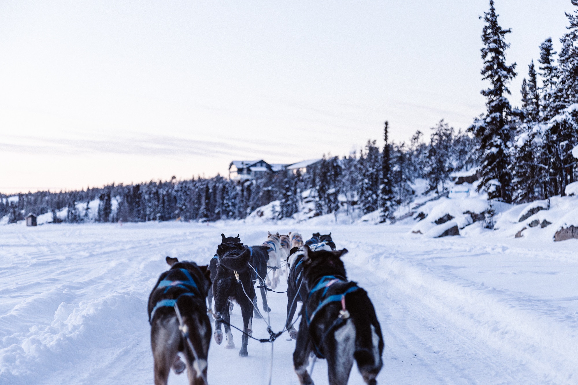 Tour The Northern Lights